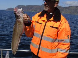 Norwegen 2008 Rundereim